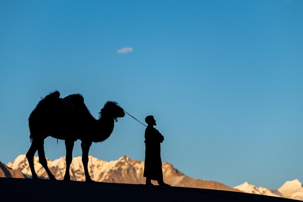 Silhouette of a camel and a man